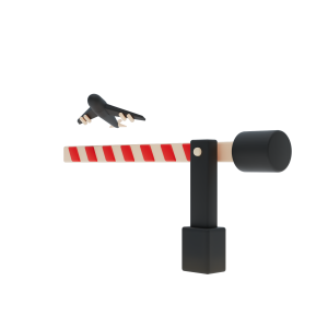 Einbu╠êrgerung_Bild_06